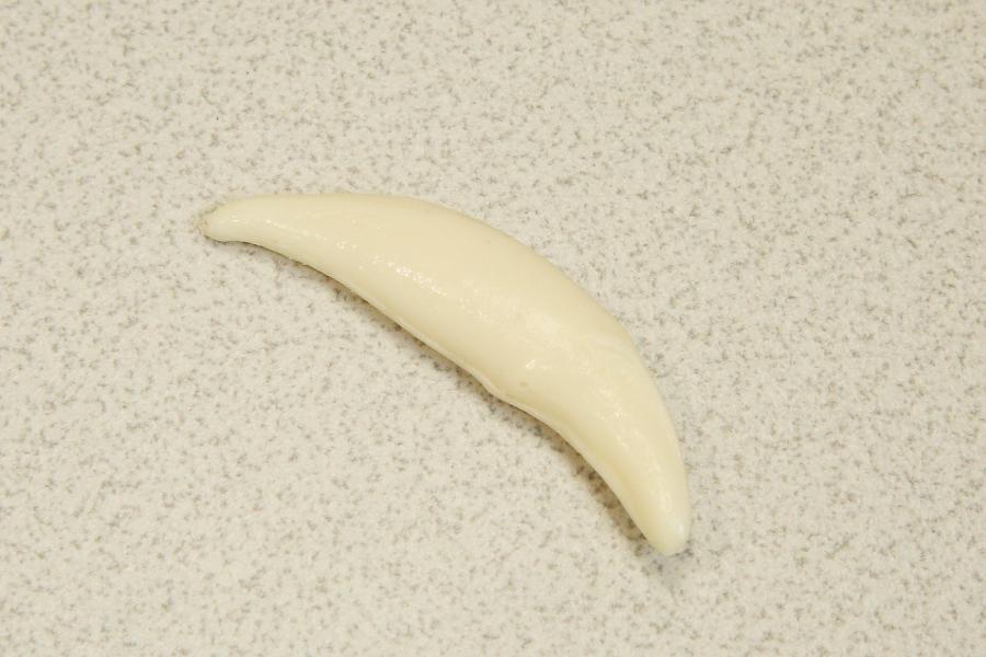 犬齒：用以撕裂食物。（記者沈昱嘉／攝影）