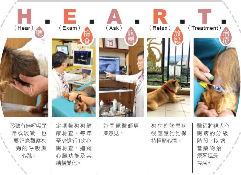 狗狗喘咳勿輕忽　有可能是「這種疾病」找上門