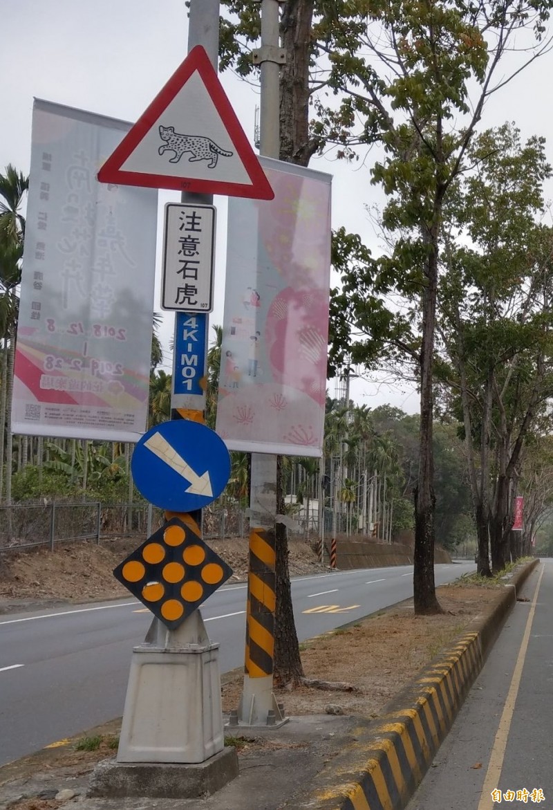 南投省道台十六線在石虎出沒路段，設有警告牌，惟被認為不夠醒目，公路單位研議增設光源加強警示。（記者劉濱銓攝）