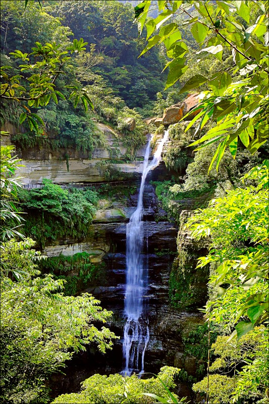 竹坑溪步道不僅能遠觀壯闊的瀑布美景，也可沿步道走到瀑布底下，穿過自然形成的水濂洞。（記者李惠洲／攝影）