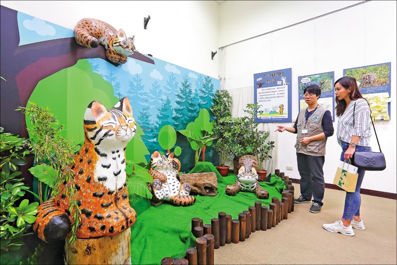 特生中心保育教育館石虎特展區，除介紹石虎生態，也擺放藝術家施守真創作的Q版石虎塑像，供遊客打卡拍照。（記者李惠洲／攝影）