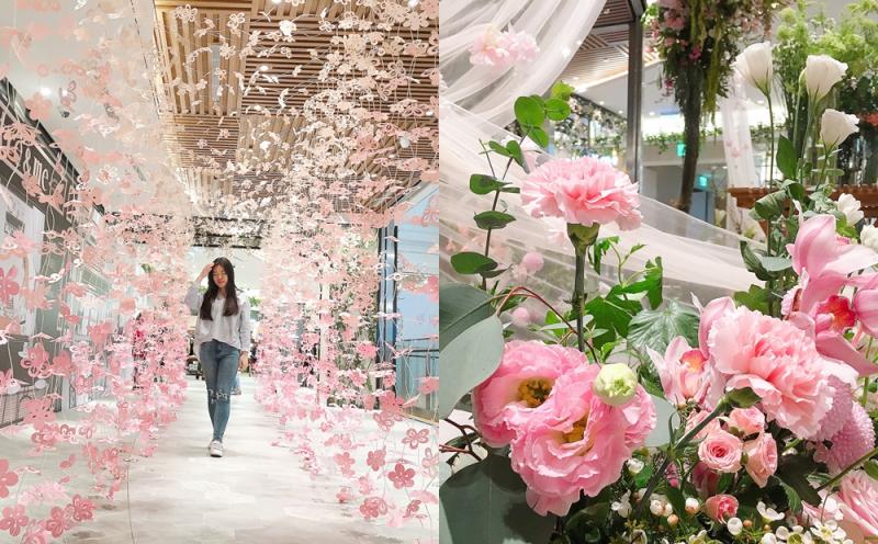 夢幻櫻花隧道、花草庭園快打卡！微風南山「粉色系造景」限定快閃