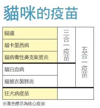 比喝咖啡苦惱百倍！犬貓疫苗幾合一全解析