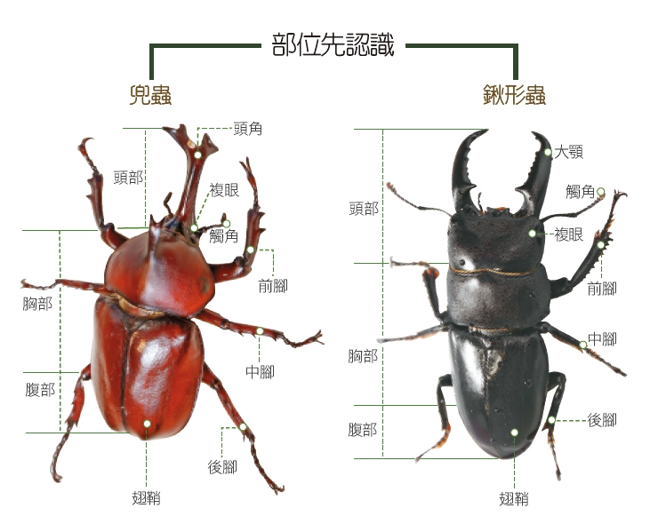 （記者臺大翔、沈昱嘉／攝影）