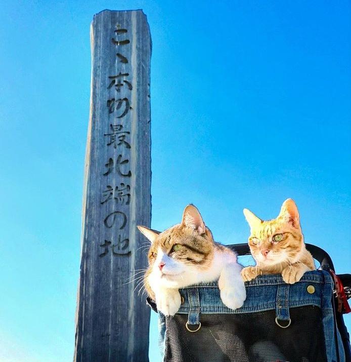 到了日本最北端的一座紀念碑。（圖片提供／Instagram@the.traveling.cats）