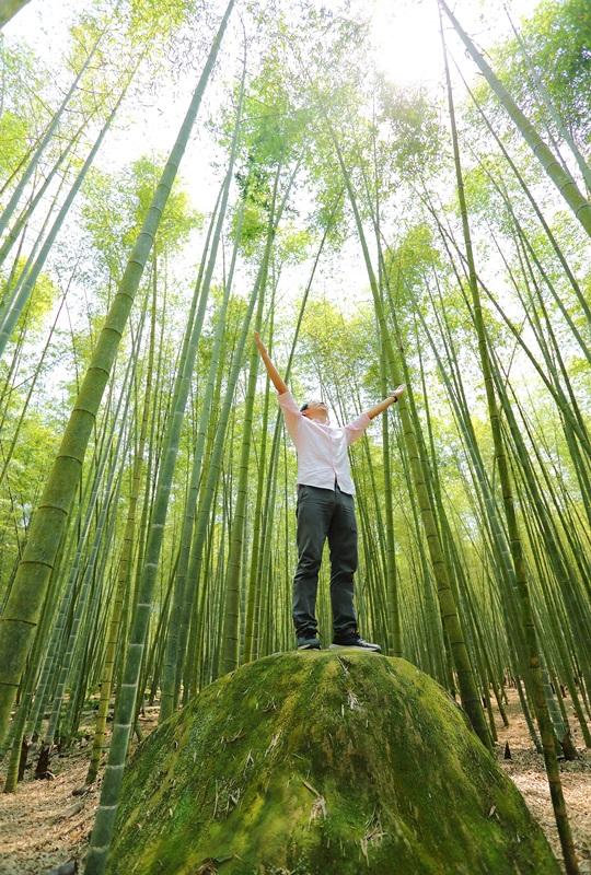 站在林爽文事件最後戰役的古戰場（即孟宗竹林古戰場），看著竹葉隨風婆娑、感受微風拂身。（記者李惠洲／攝影）