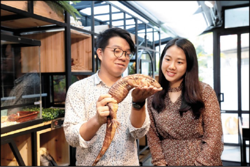 由專業的生態老師解說動物的特徵與習性，也能在第一時間知道動物釋出的訊號，確保動物與人之間互動的安全。（記者陳宇睿／攝影）