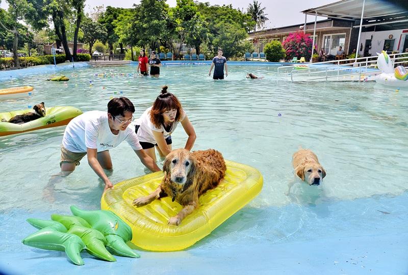 對於較怕水的小型犬，主人可以一同下水讓牠們慢慢適應水性。（記者許麗娟／攝影）