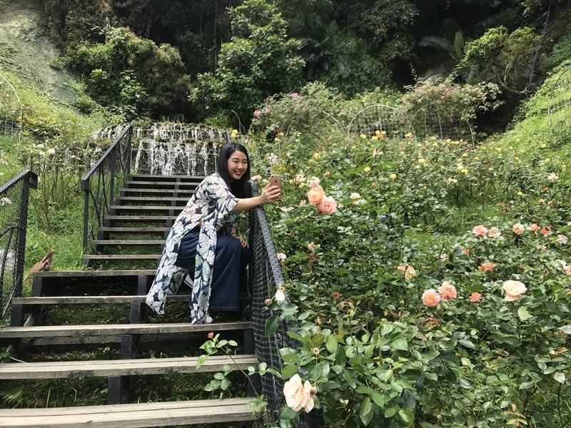 順著雲香步道走一圈，除了一路欣賞各種玫瑰，店家還貼心提供熱量計算表，鼓勵大家多動多健康。（記者陳宇睿／攝影）