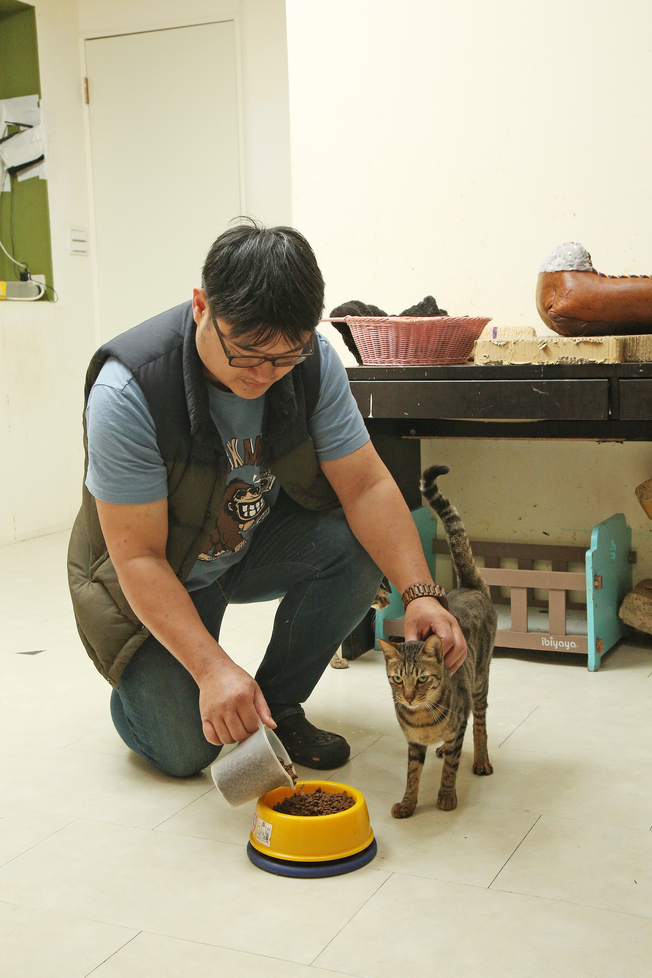 善用每天固定的餵飼料時間與貓相處，貓咪會逐漸放下心防，向飼主磨蹭。（記者沈昱嘉／攝影）