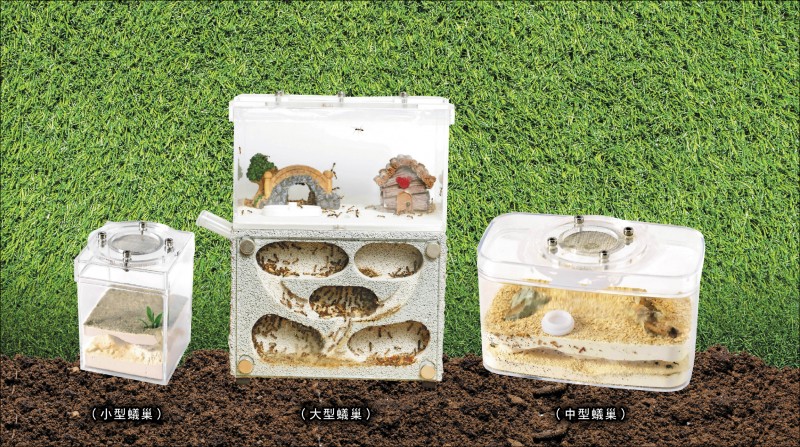 蟻巢依照蟻群的大小與體型，分成大、中、小3種尺寸，新手玩家可先購買小型蟻巢就好。（記者陳宇睿／攝影）