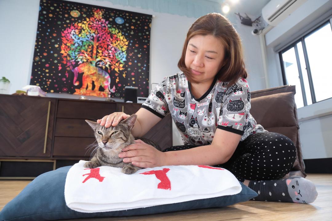 透過特定的撫摸方式來替貓主子按摩，不但能替牠們紓壓放鬆，還可拉近感情喔！（記者陳宇睿／攝影）