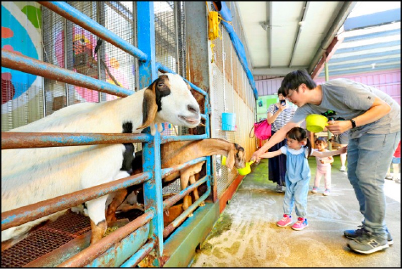 水鹿咖啡親子館飼養了各種動物，讓小朋友可以親近動物，甚至親自餵食。（記者陳宇睿／攝影）