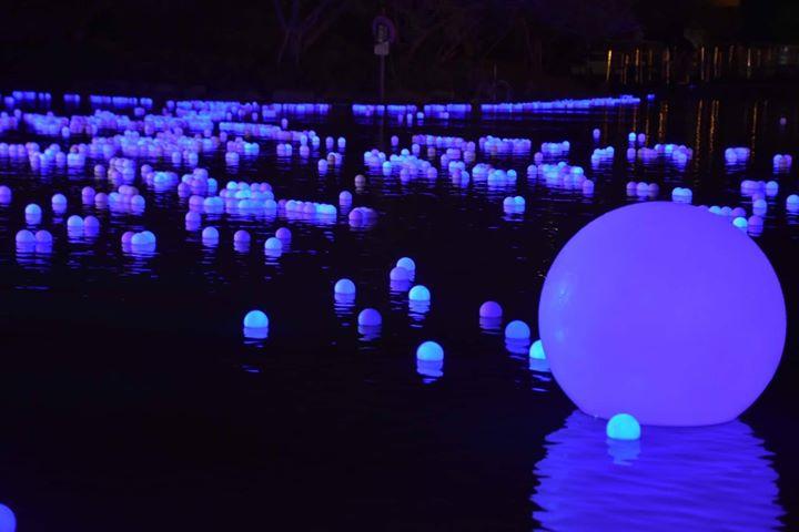 一顆顆「祈緣星」在水中綻藍光，相當迷人。（宜蘭傳藝園區提供）