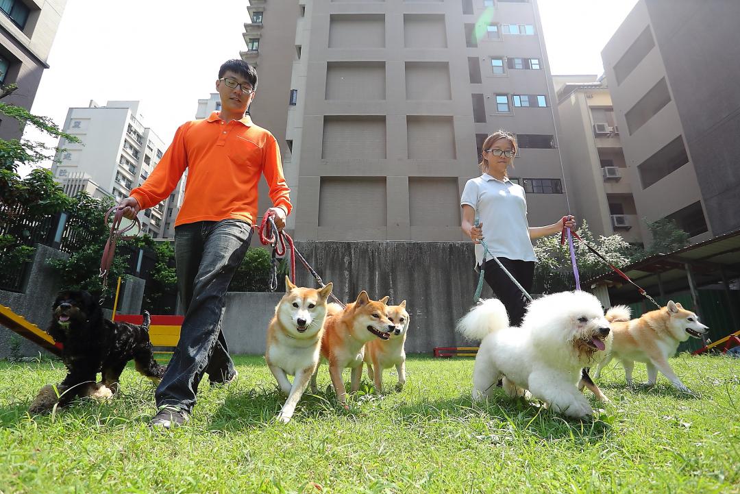 帶狗狗上學去，學校教育能幫助狗狗做自己，導向健康的生活狀態。（記者李惠洲／攝影）