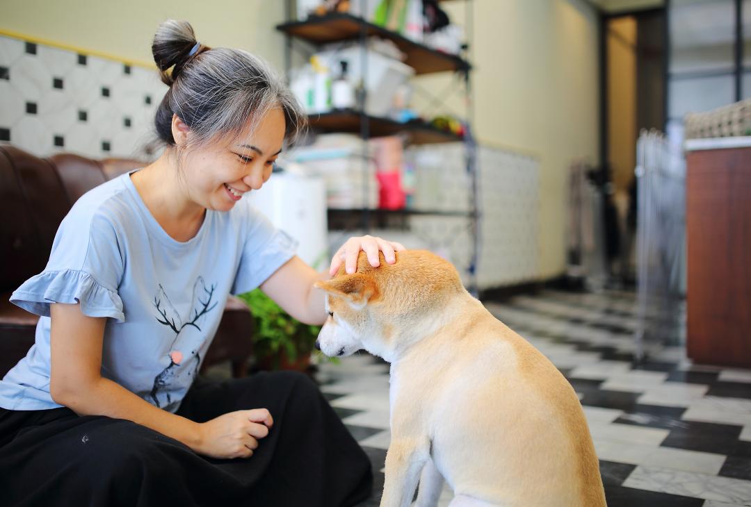 原行為舉止就符合飼主期望的狗狗，送到學校學習的需求較低。（記者李惠洲／攝影）