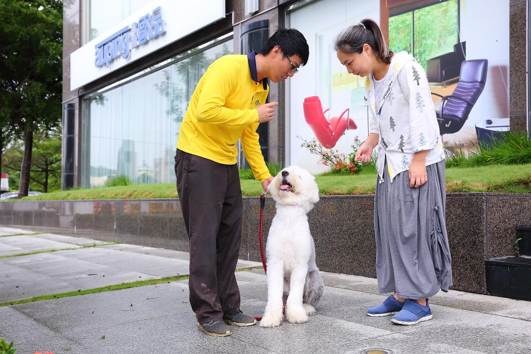 飼主適度參與教學訓練，狗狗回家後才能持續學以致用。（記者李惠洲／攝影）