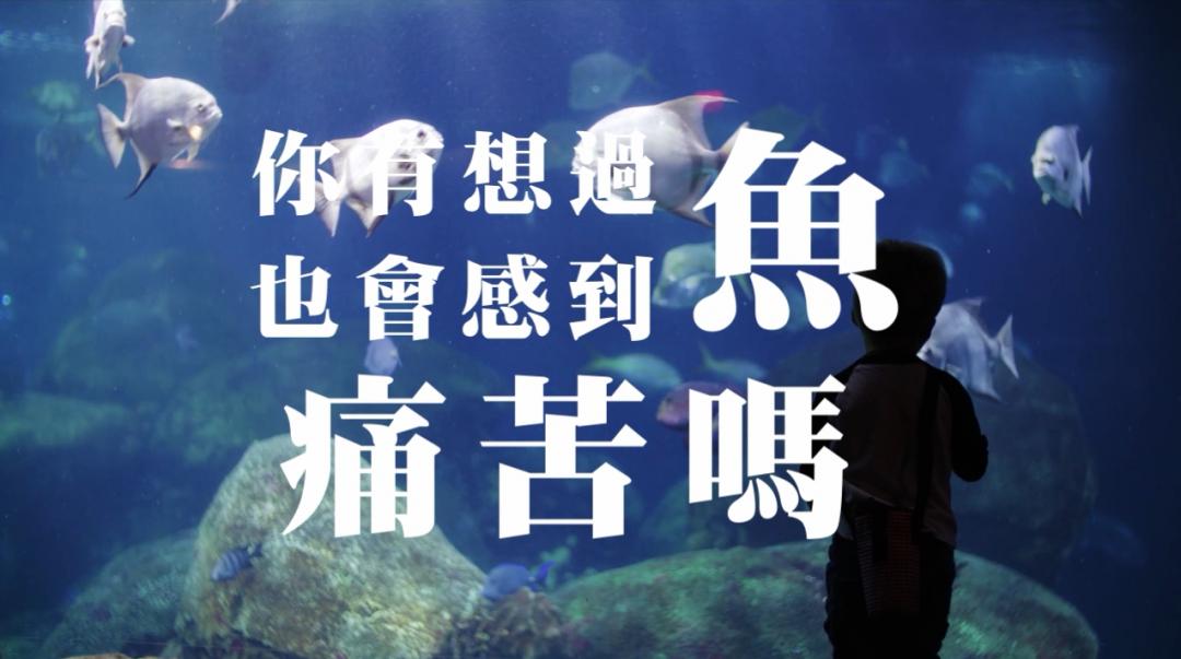 影片中斗大的字和魚類海洋背景呈現反諷。（圖／截自台灣動物社會研究會「虐待魚，不會有好肉」授權影片）