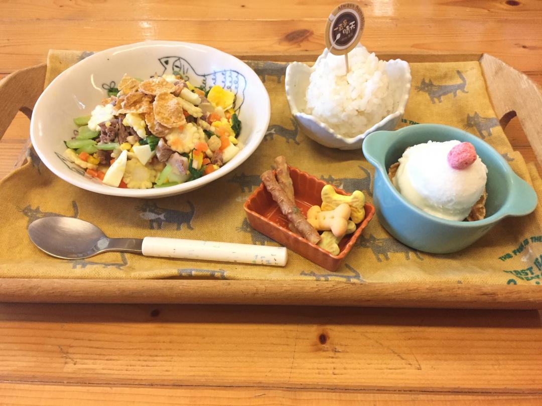 時蔬牛小排飯／200元（附白飯、點心）、狗狗手工優格冰淇淋／50元（圖右，點鮮食加購價30元）（記者陳泓儒攝）