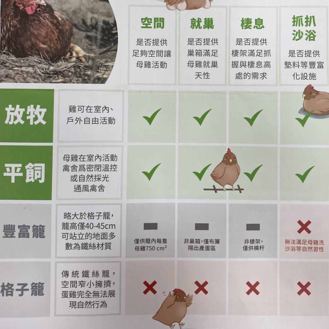 蛋雞飼養方式與蛋雞生理需求。（圖／翻攝台灣動社會研究會「雞蛋報」）