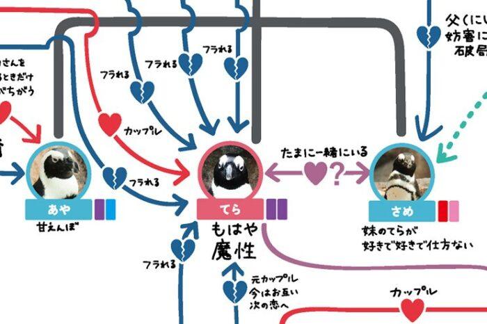 企鵝私生活比本土劇還精彩！京都水族館「人鵝關係圖2020版」神展開