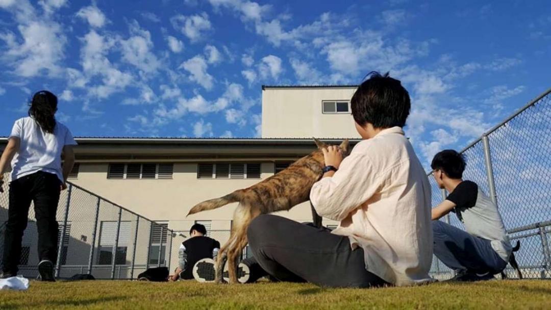 1/18將啟用的動保園區可收容超過400隻流浪動物。（新竹市動物保護及防疫所提供）