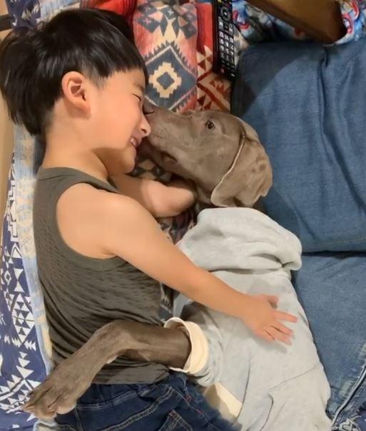 小主人和フィン互擁入睡的畫面相當有愛。（圖／截自Instagram@finmam125授權影片）