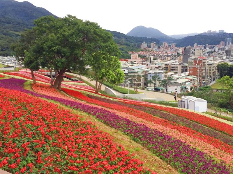 北投區三層崎公園有傍著地勢的花毯景觀，可遠眺紗帽山風光。