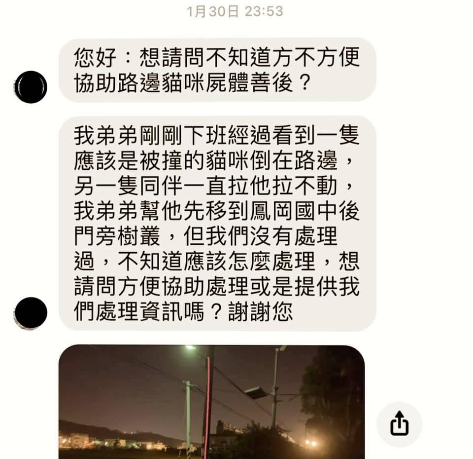 過度美化？公貓抱母貓屍體哭泣遭質疑「發情」 救援者出面還原現場