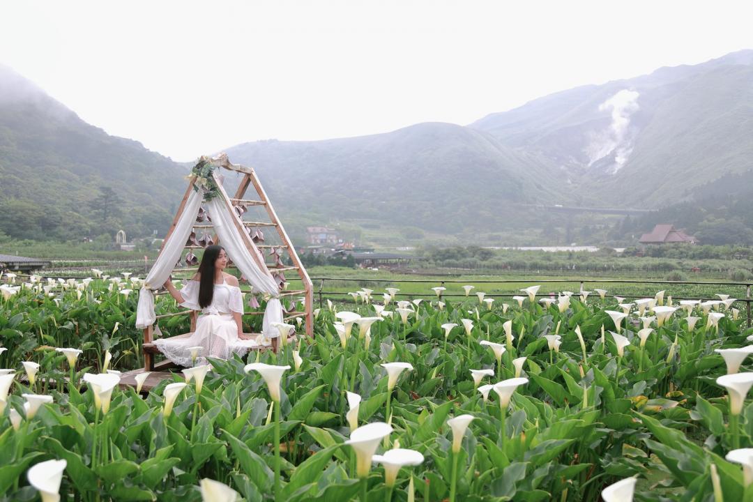 竹子湖各家農園配合海芋季活動打造的地景藝術，每年都是熱門打卡地標。（圖／截自FB粉專，去年活動照）