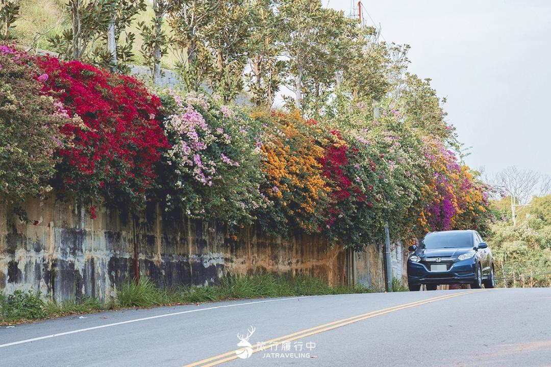 彰化七彩九重葛秘境的花色十分豐富鮮豔。（圖／旅行履行中提供）