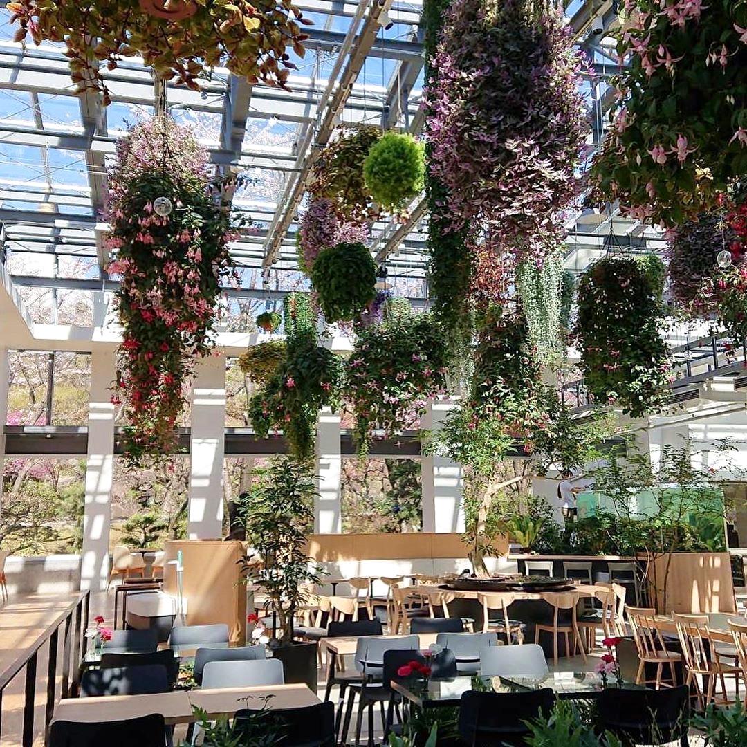 溫室花園、和風町家喝咖啡！５間日本星巴克特色門市2020年新開幕掀話題