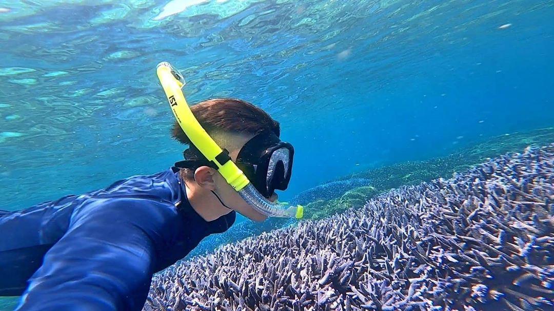 潛進澎湖東吉海域，近距離觀賞一整片紫色鹿角珊瑚。（圖／IG@liu_tsan39提供）