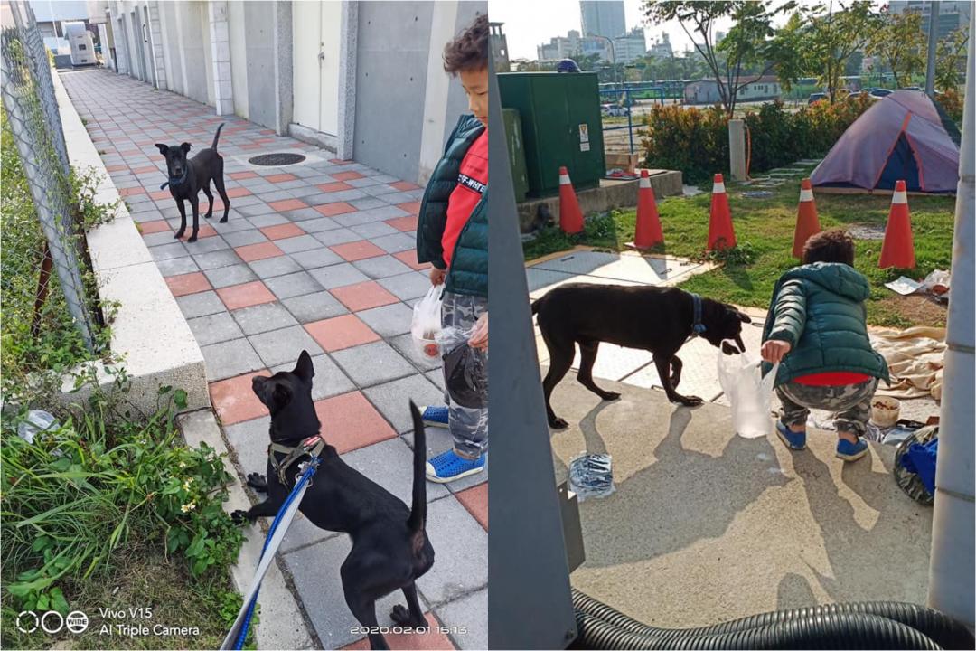散步途中遇到這隻浪浪，網友兒子主動提出要盡自己所能餵食。（圖片提供／陳姓網友）