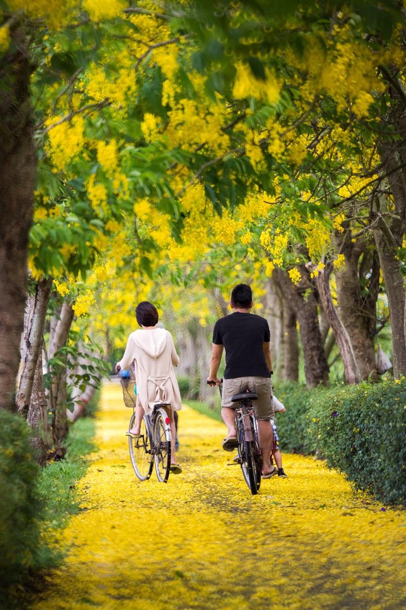 週末去哪玩》水樂園、小農市集解封開放！繡球花繽紛爆開快把握