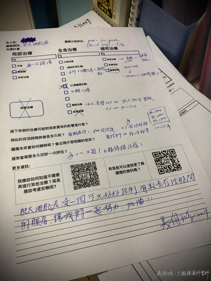 當毛孩被診斷出腫瘤，和醫師討論並配合的「腫瘤治療計畫表」，就十分重要。（圖片提供／吳鈞鴻）