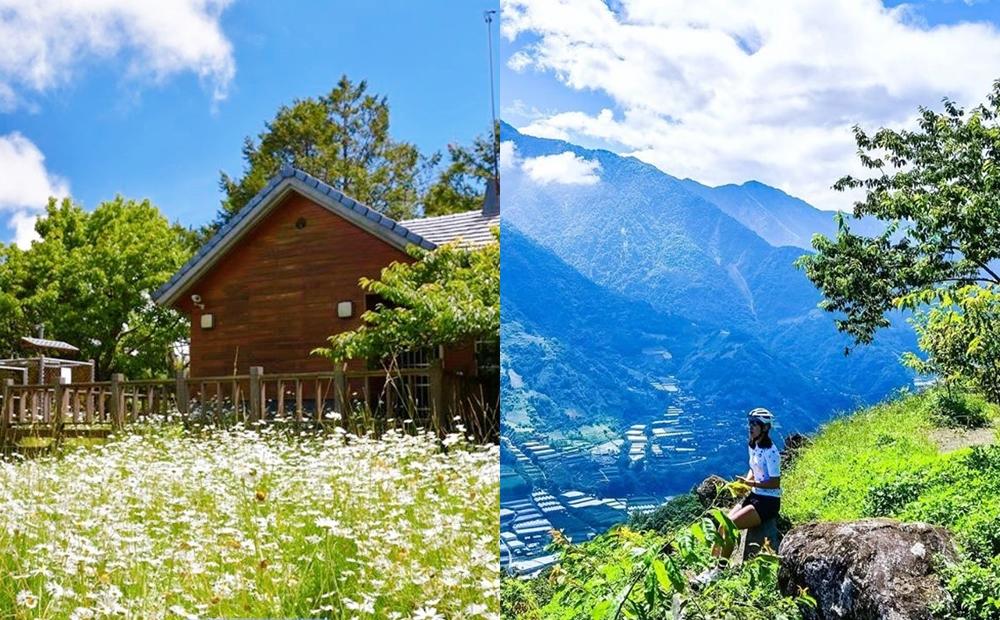 玉山國家公園的塔塔加遊憩區暗藏一處「蓬蒿菊秘境」，白色小花密集盛開。（圖／漫步在雲端的阿里山、IG@yajhu1128提供）