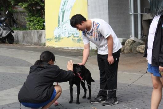 校園裡遇到副校長的同學們，都會停下腳步摸摸牠、與牠互動。（圖片提供／新北市動保處）