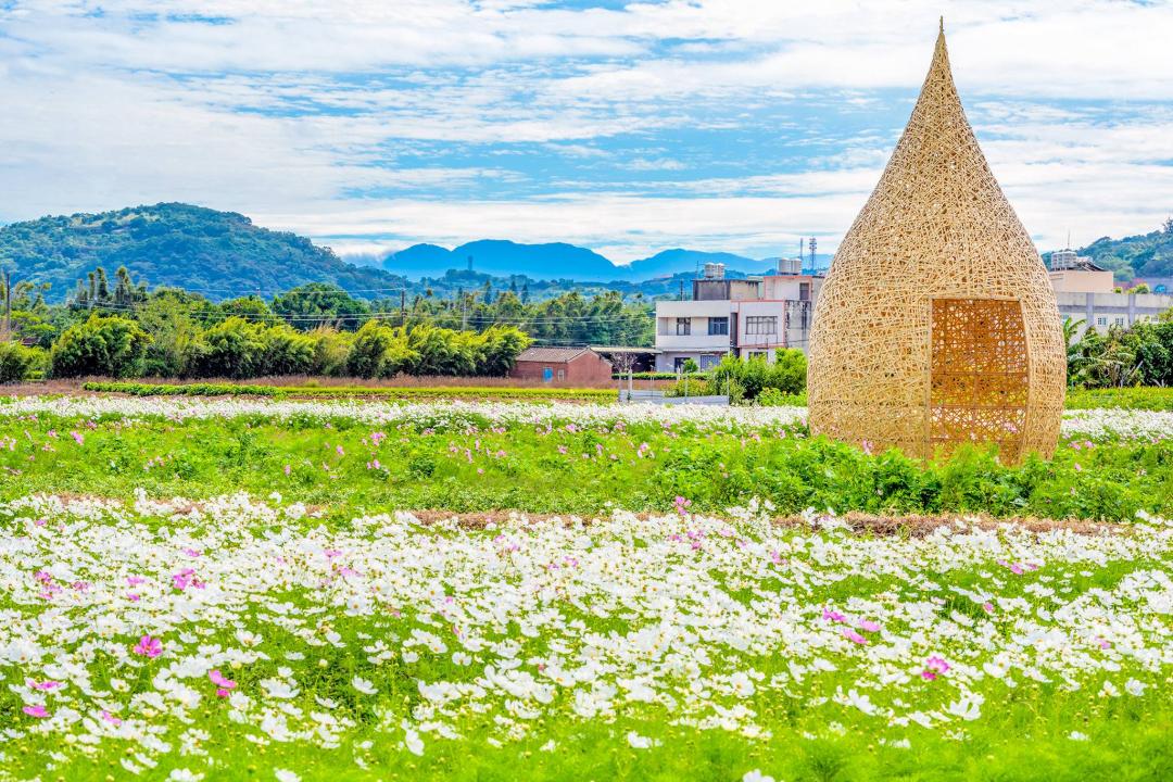 今年花彩節打造草編、竹編藝術作品，搭配廣闊的花海美景。（圖／IG@molly888666提供）