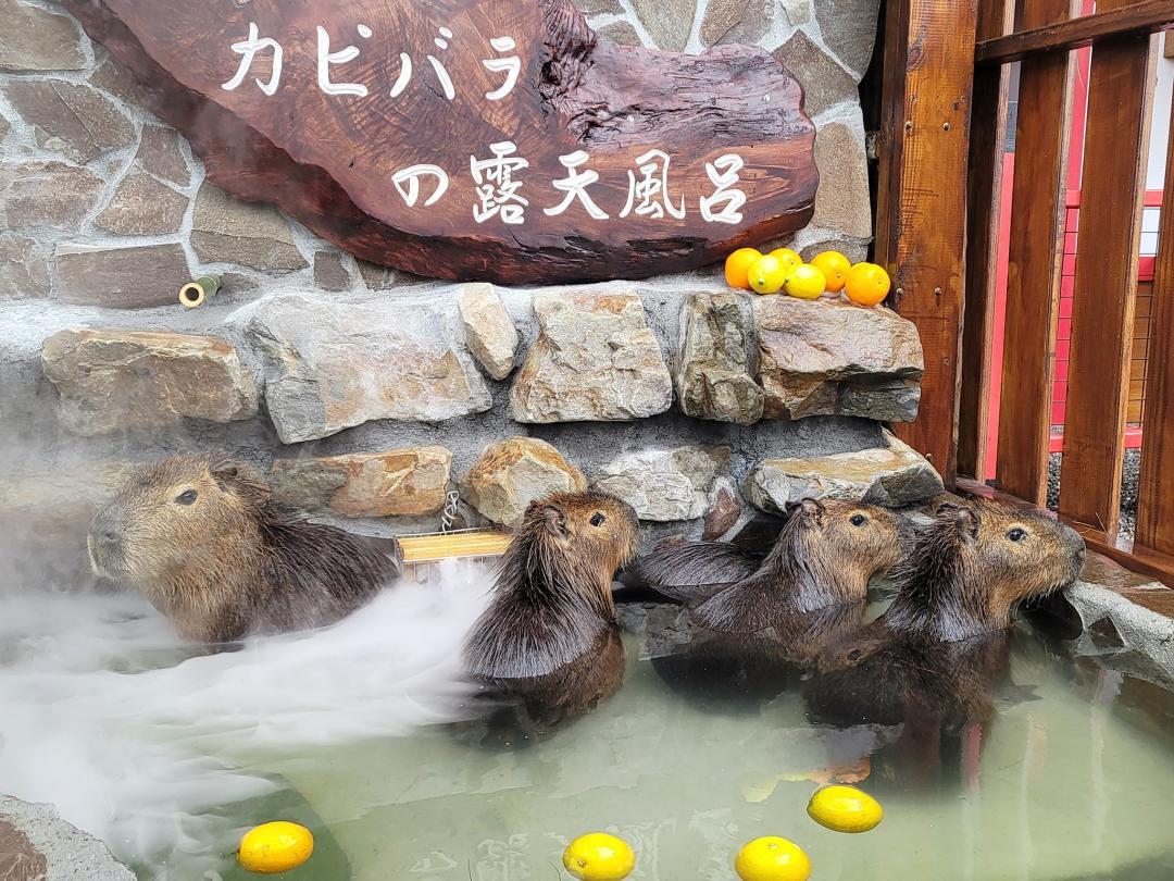 圖／宜蘭ㄚ欣的美食日誌提供