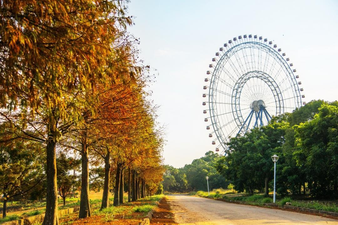 熱氣球一系列活動在落羽松大草原舉辦。（圖／麗寶樂園提供）