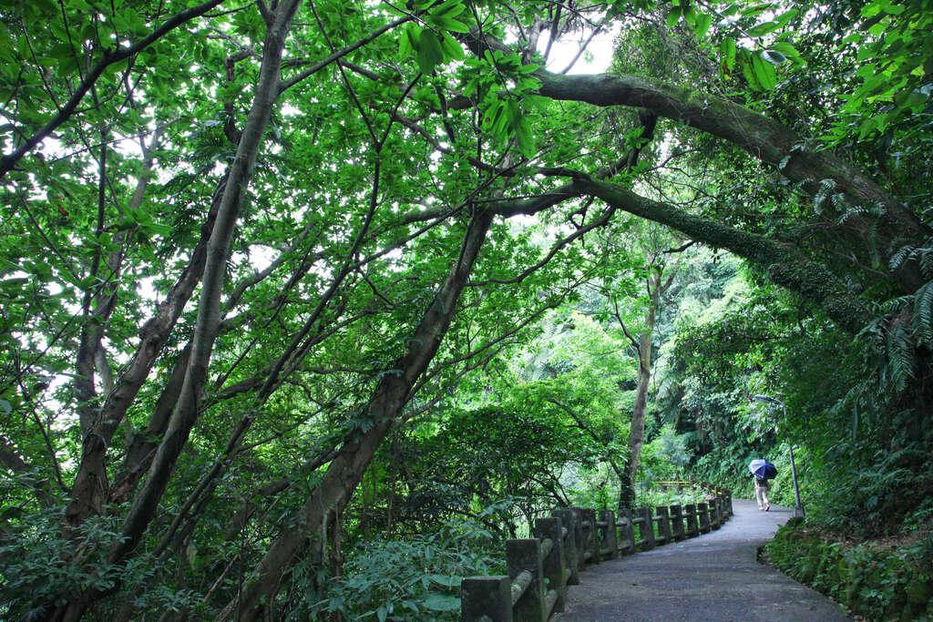 仙跡岩被暱稱為景美人的後花園，平坦的綠色步道走起來特別涼爽。（圖／截自台北旅遊網）