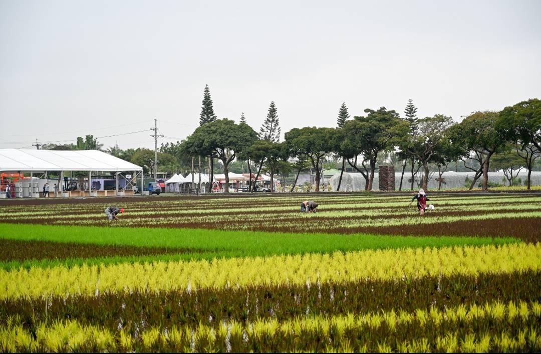 屏東熱博除了除夕休園外，一路開園到2/28陪大家過好年。（圖／屏東縣政府提供）