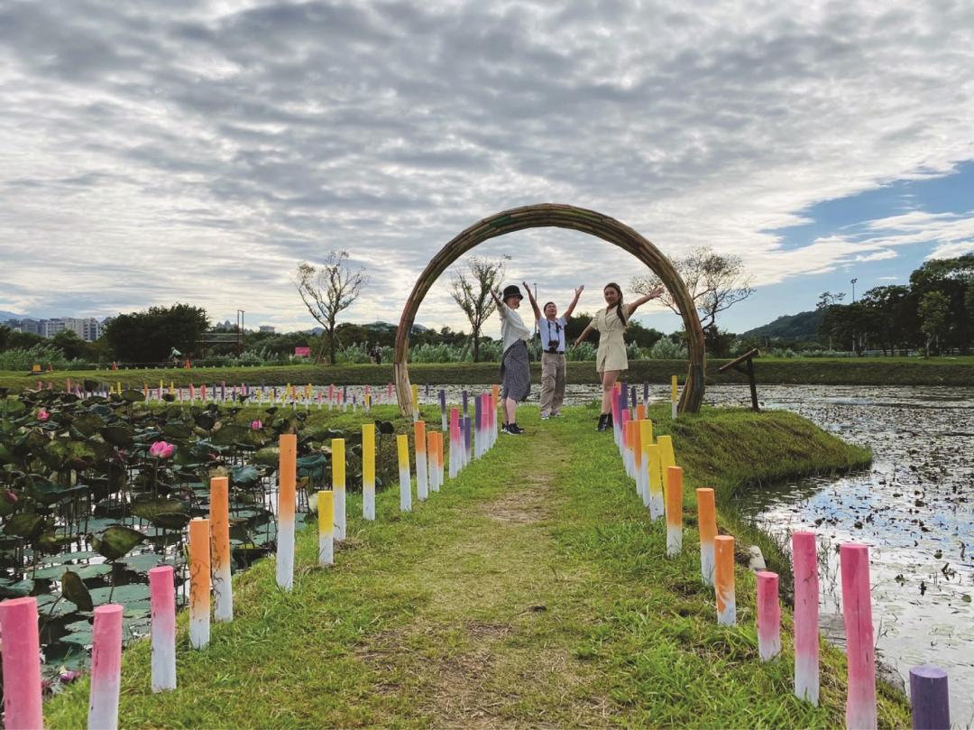 荷花池的視覺新焦點，打造了愛蓮小徑。（圖／新北市政府高灘處提供）