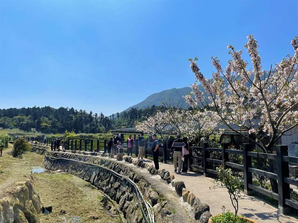 無障礙友善頂湖環狀步道。（圖／北市政府工務局提供）