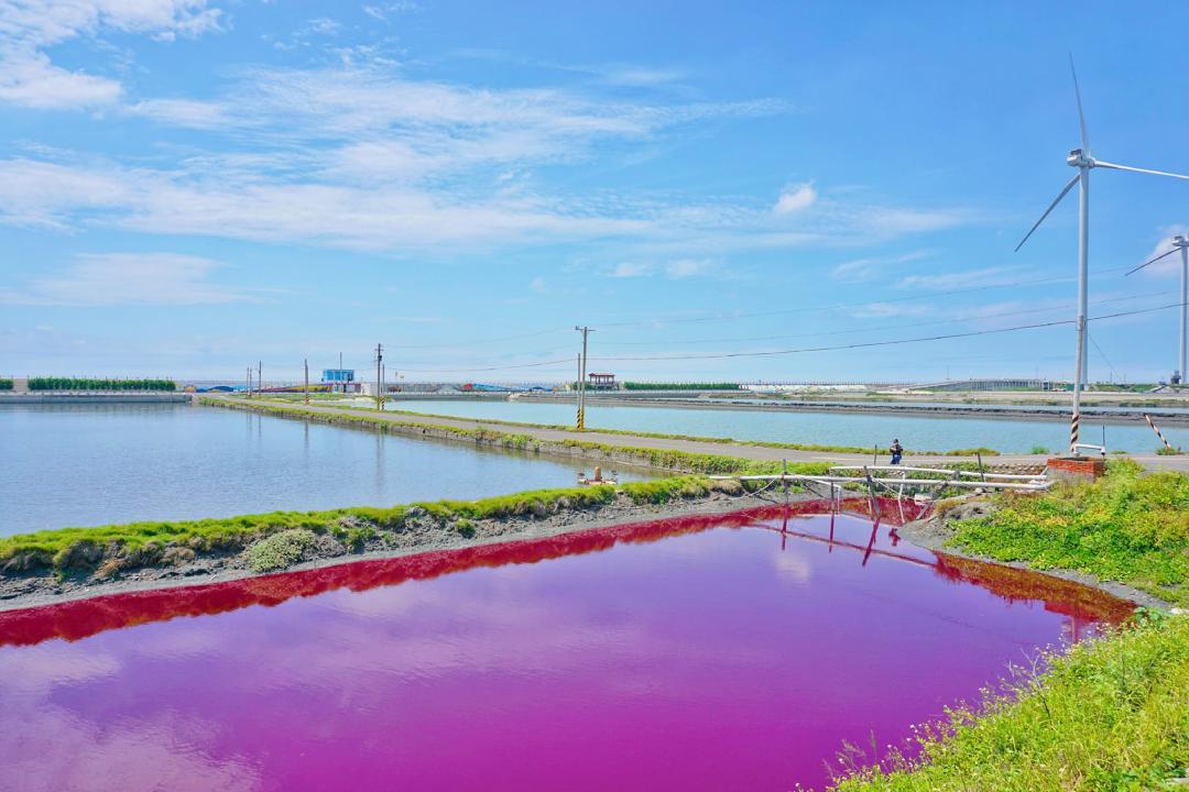 魚池彷彿染上粉紅顏料，天氣及日照影響還會形成五顏六色的美景。（圖／攝影師徐世超提供）