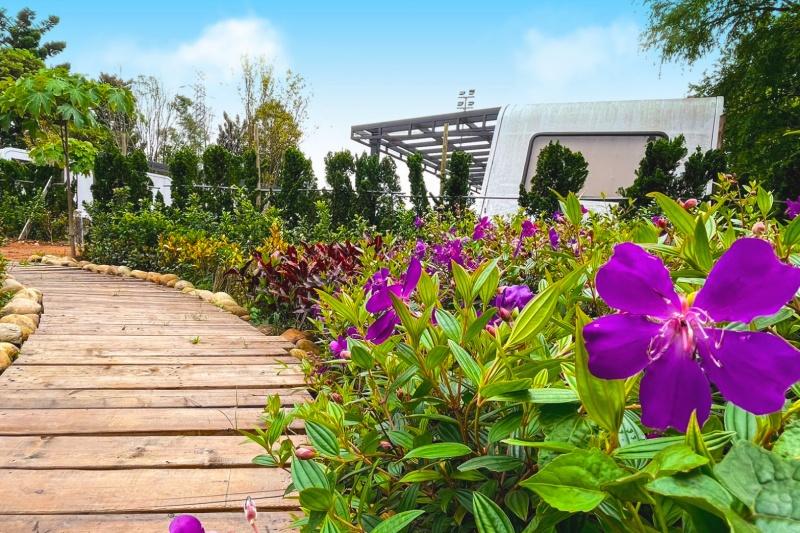 露營車度假莊園有大片草皮、栽種許多植物花海。（圖／翻攝自ARCADIA覓秘午憩官網）