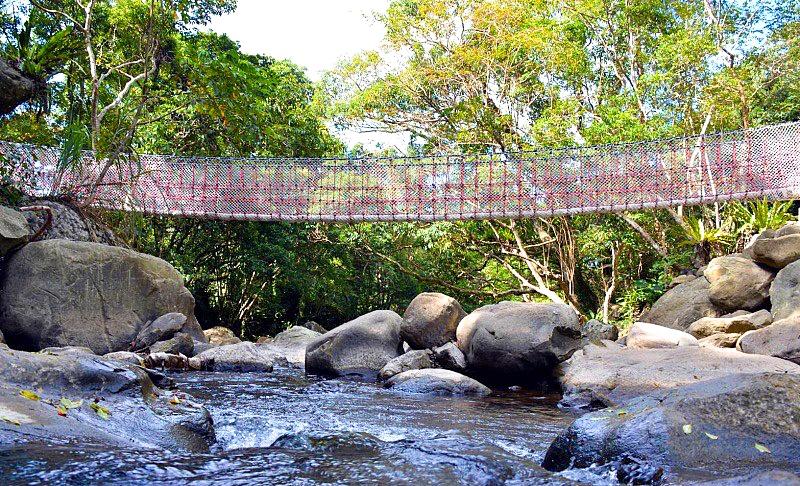 高遶溪古圳步道新設約21公尺長的跨河繩橋繩橋，每次限5人通行。（圖／記者李容萍攝）