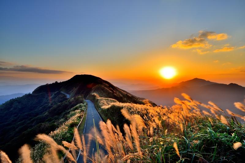 (up)登上不厭亭瞭望山路兩側搖曳芒花，怎麼拍都美。（圖／新北觀旅局提供）