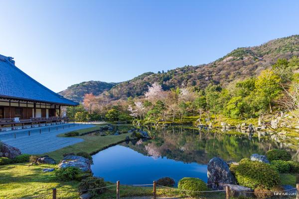 天龍寺與京都知名觀光勝地嵐山相距不遠，為「京都五山」之首。（圖／京都市台灣推廣事務所提供）